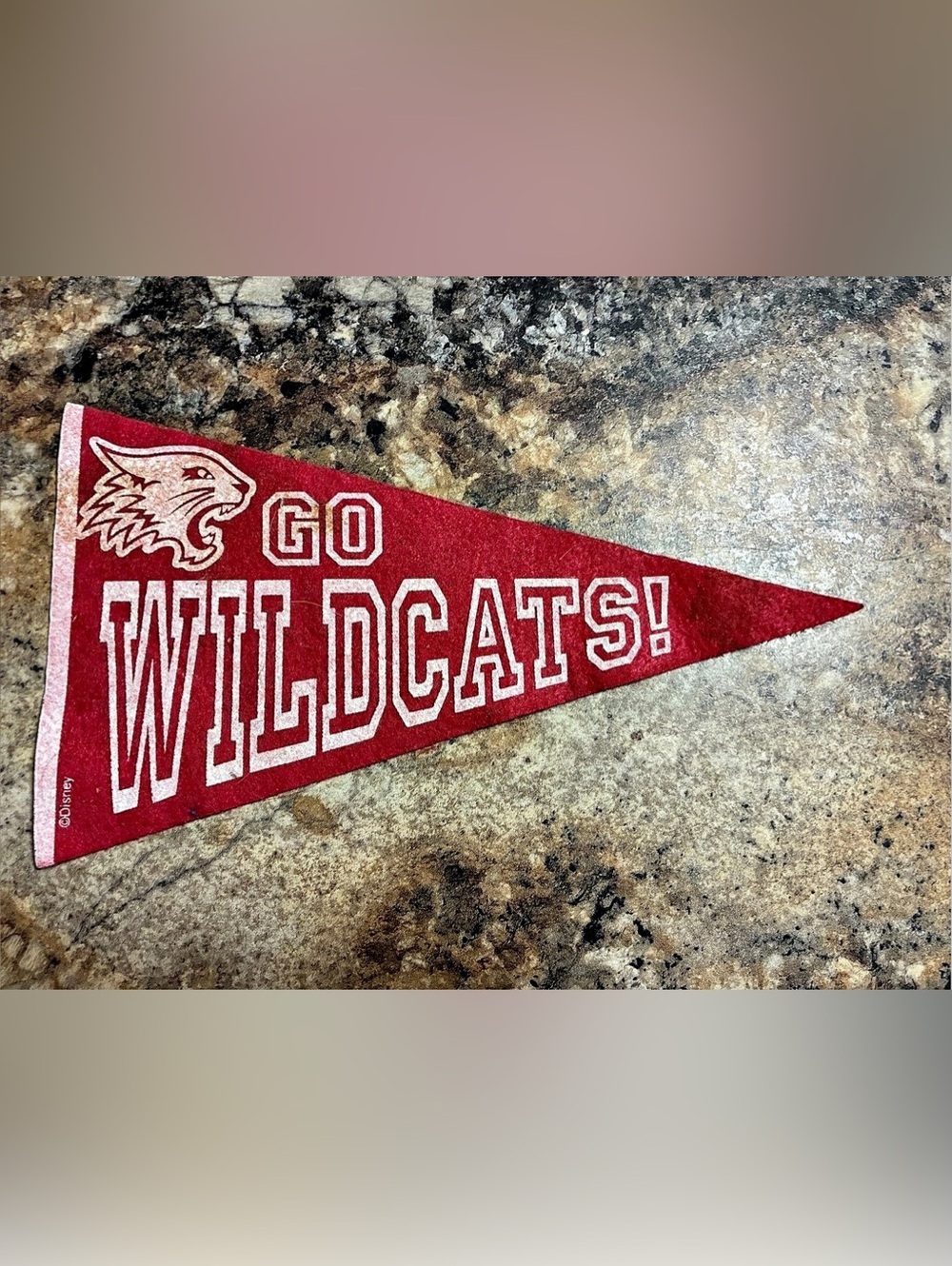Disney High School Musical Go Wildcats Felt Pennant Red & White